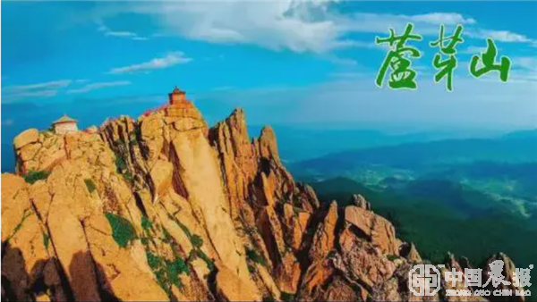 走进山西宁武芦芽山，探索“黄土高原的绿色明珠”自然奇观